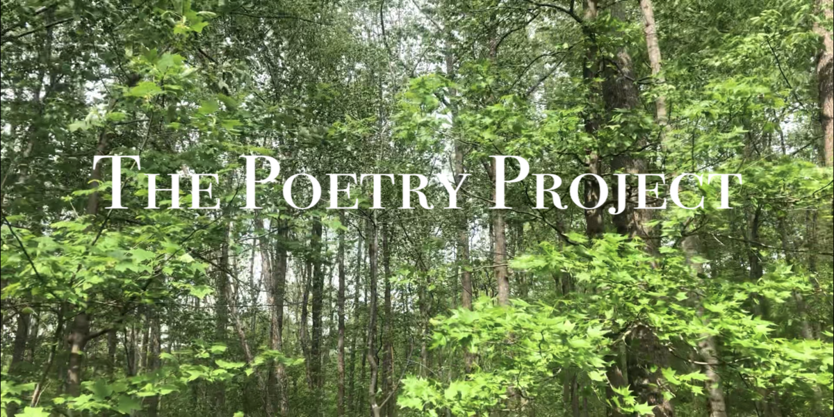 woods with title Poetry Project